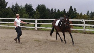 Trot Bending