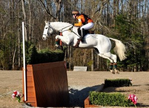 Jumping horse