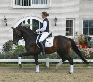 Relaxed Rider Seat with Perfect Alignment