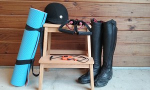 Equestrian Fitness